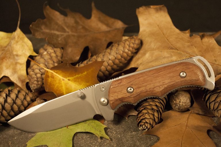 The Top 10 Best Deer Skinning Knife Set & Reviews for 2019